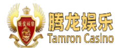 腾龙游戏Logo